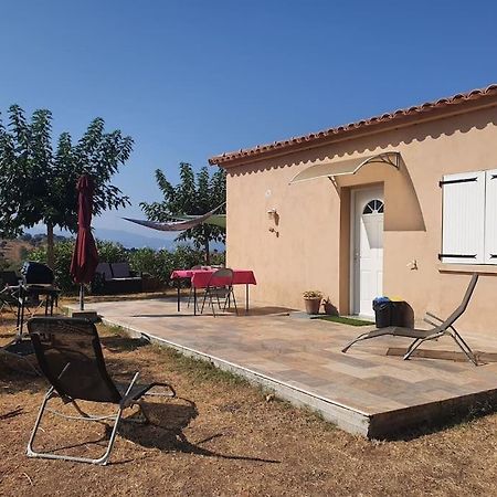 Studio Mitoyen A La Campagne Vue Sur La Mer Cargèse Esterno foto