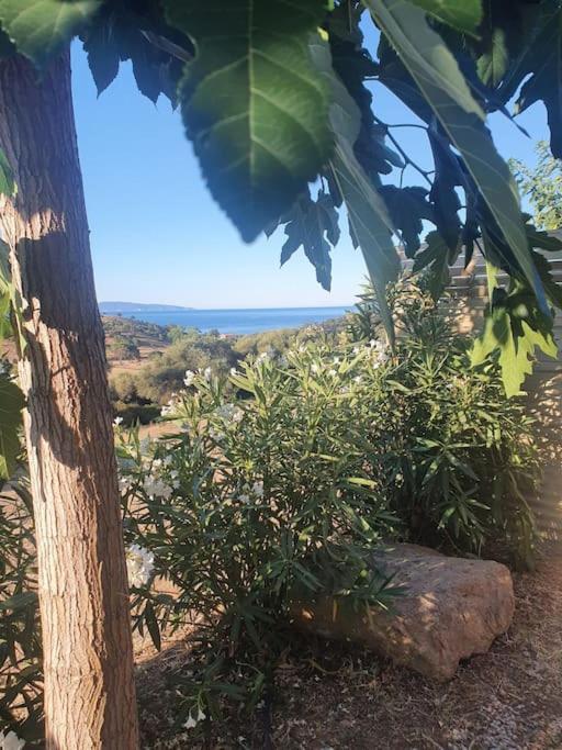 Studio Mitoyen A La Campagne Vue Sur La Mer Cargèse Esterno foto